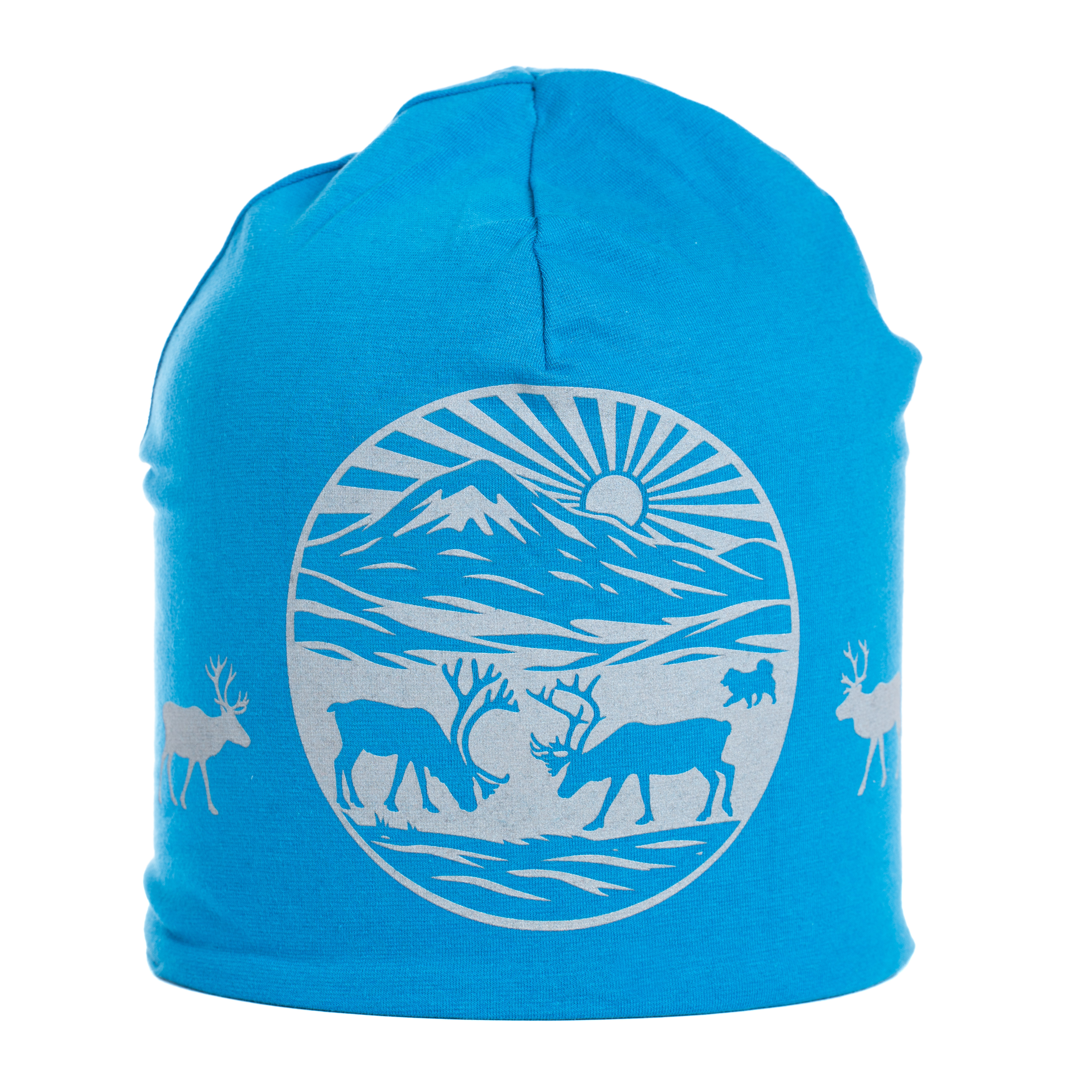 Reflective beanie winter Into the Fjäll blue
