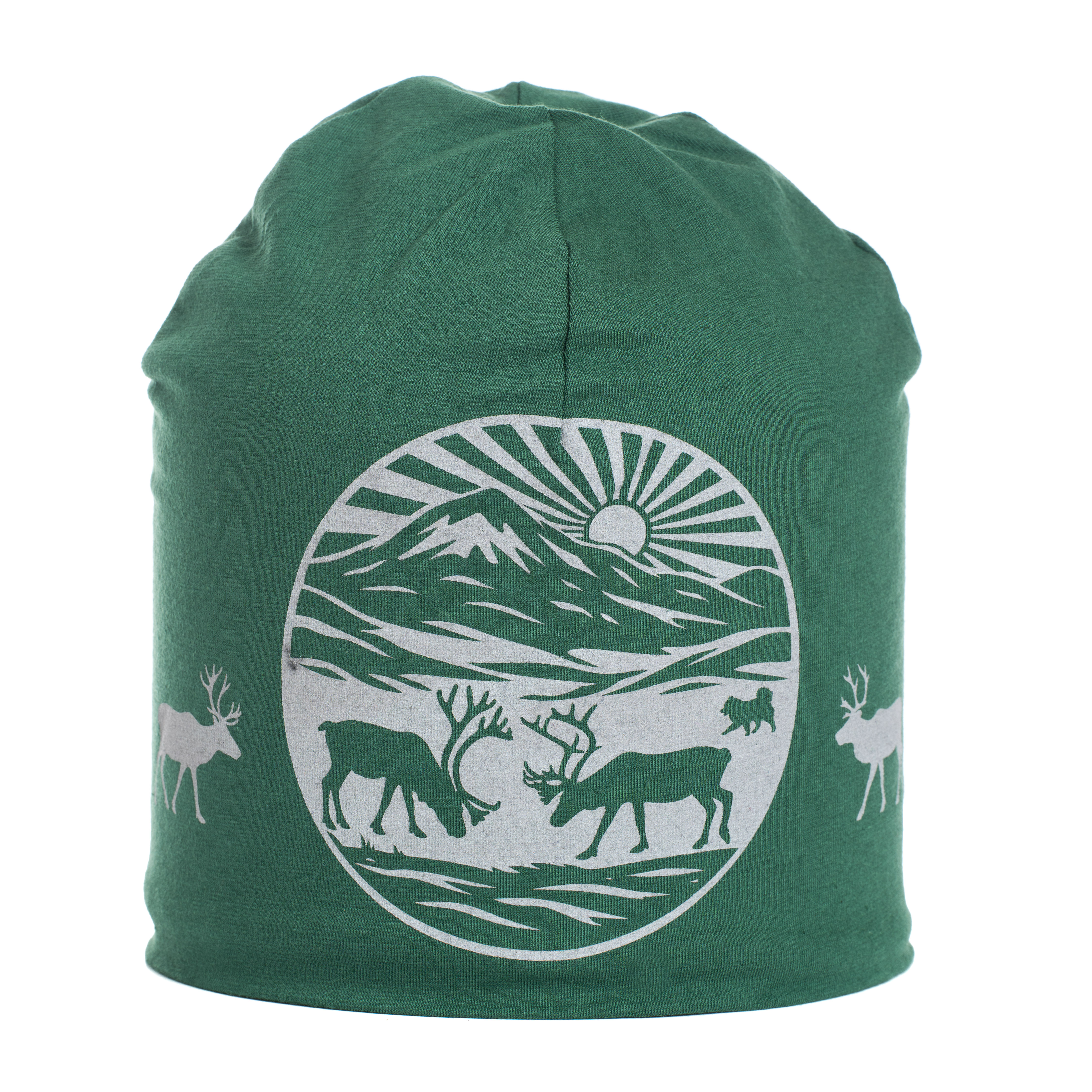 Reflective beanie winter Into the Fjäll forest green