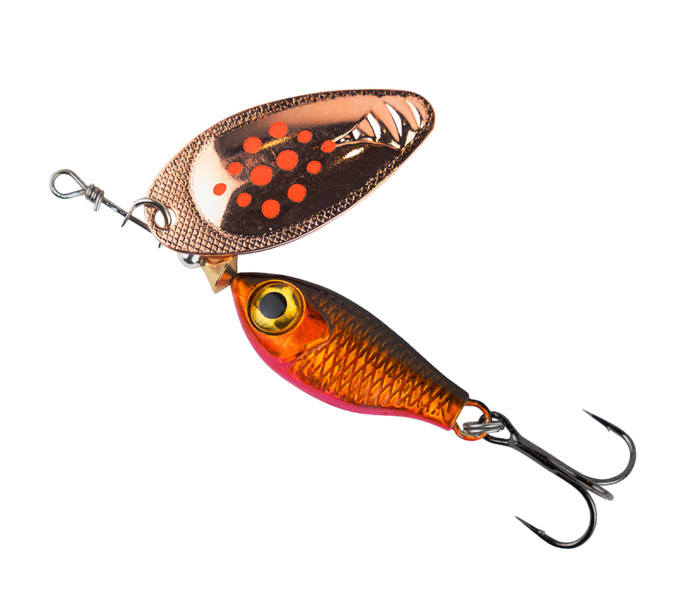 A spinner with an elongated spoon shape, making it work exceptionally well even in running water. Excellent for salmon, brown trout, as well as pike and rainbow trout.