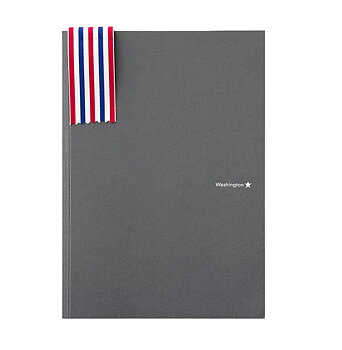 Gerry Johansson: Amerika