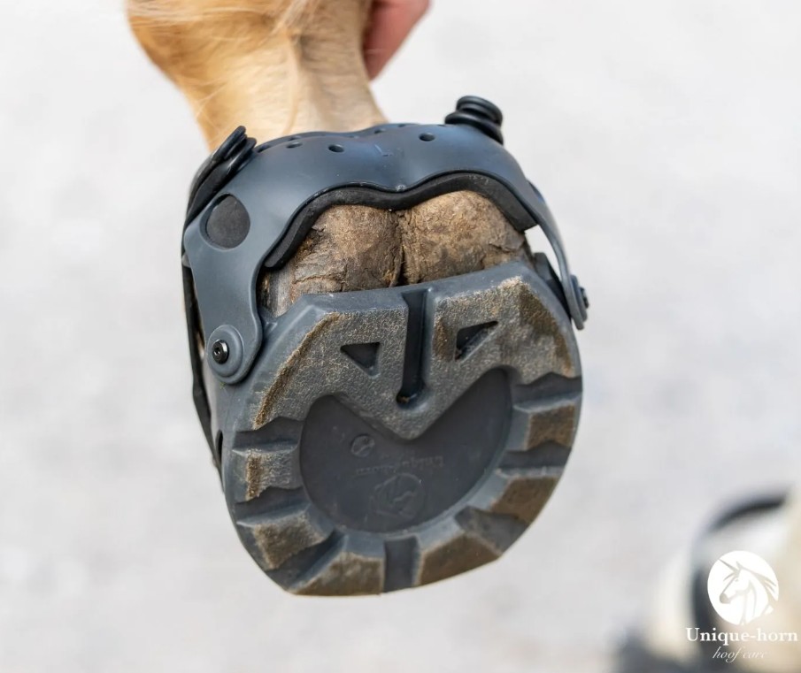 Unique-Horn Sport  Boot - 4