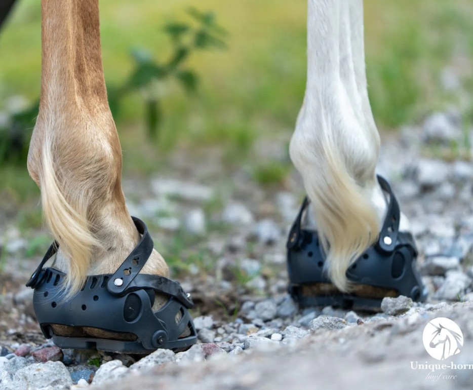 Unique-Horn Sport  Boot - 7