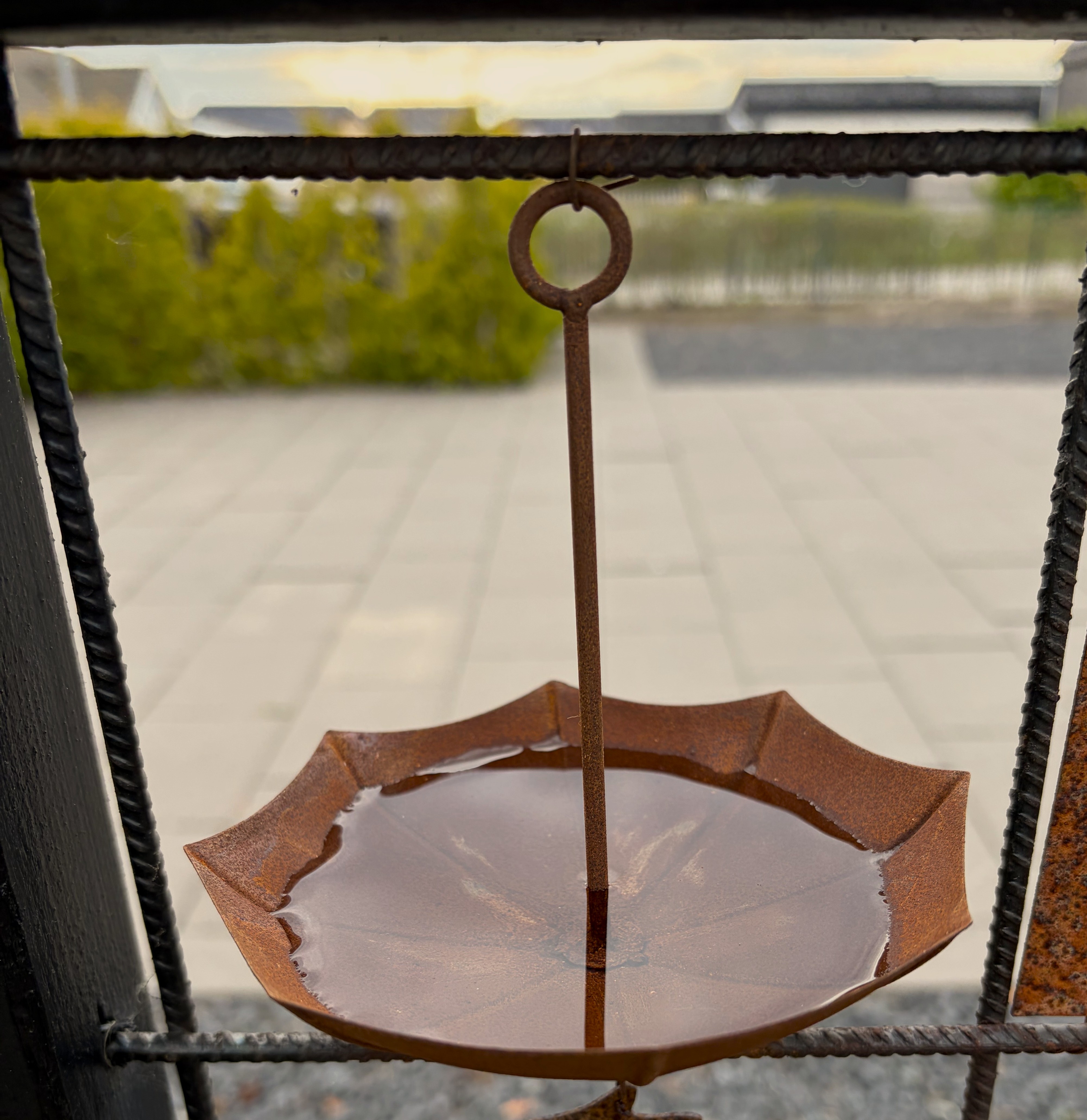 Insect bath with wire for reinforcement mesh