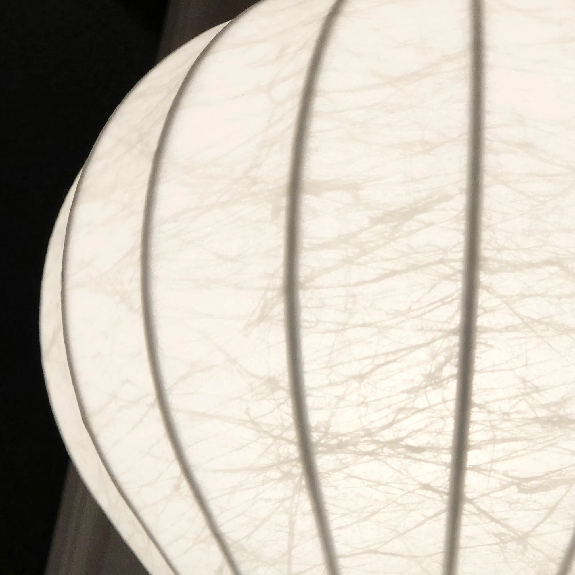 Gatto Bordslampa - 4