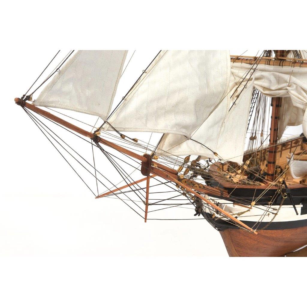 OcCre HMS Beagle 1/60 Skepp 720mm - 4