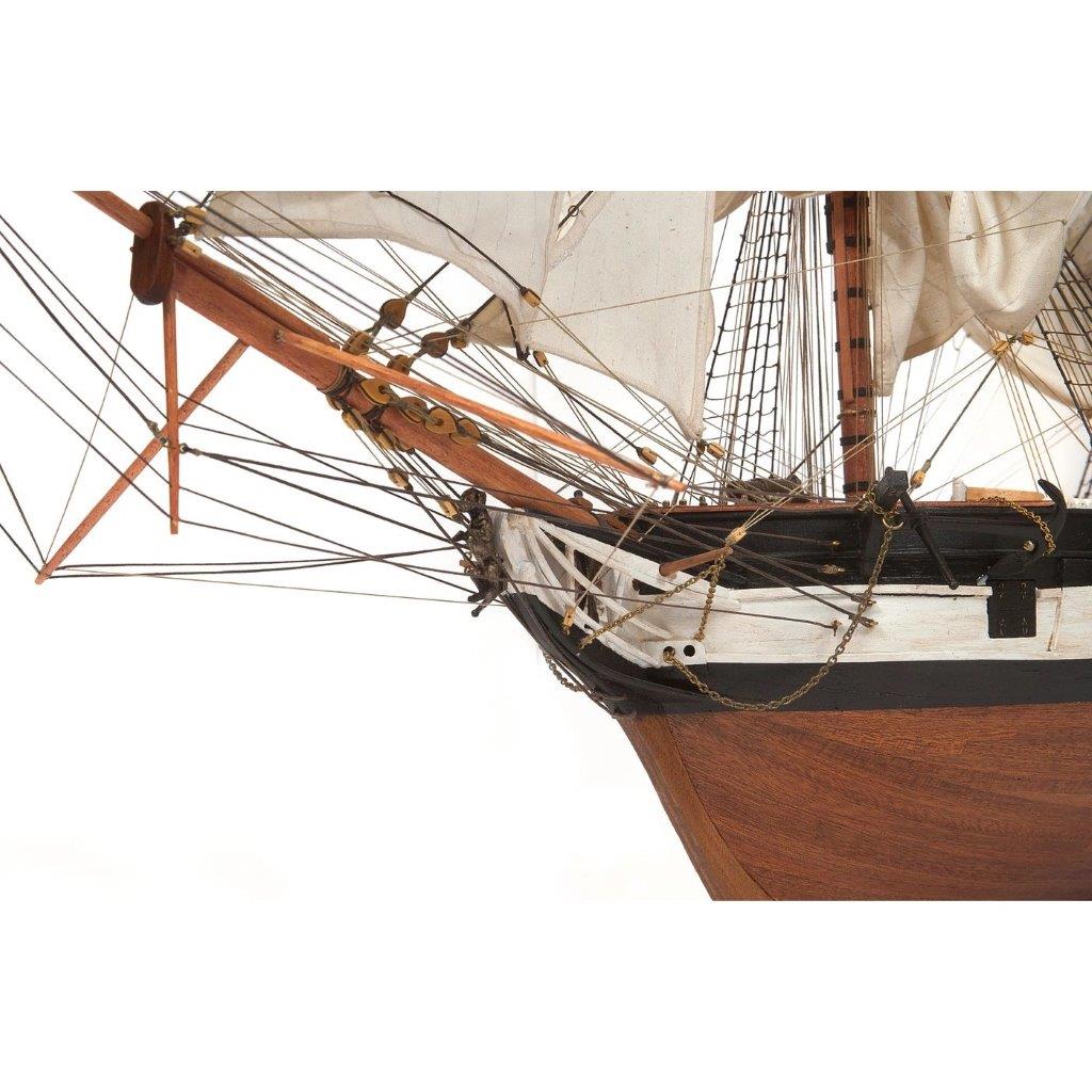 OcCre HMS Beagle 1/60 Skepp 720mm - 5