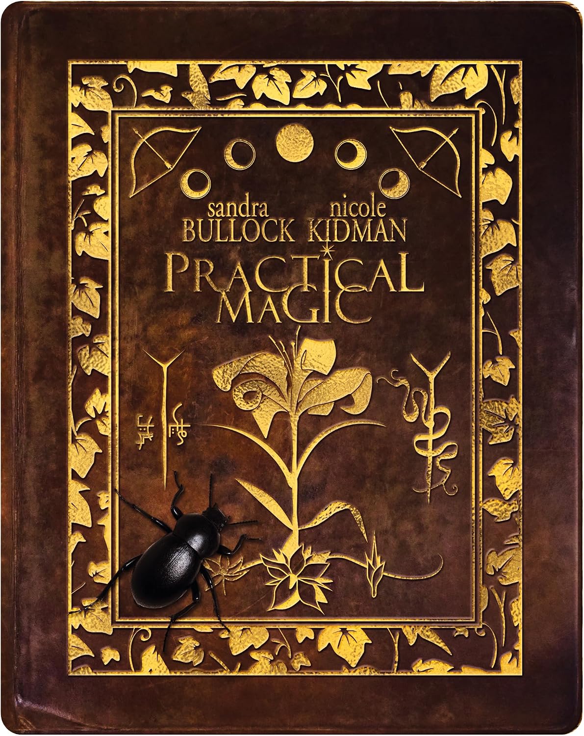 Practical Magic (Limited Edition Steelbook) (4K Ultra HD)