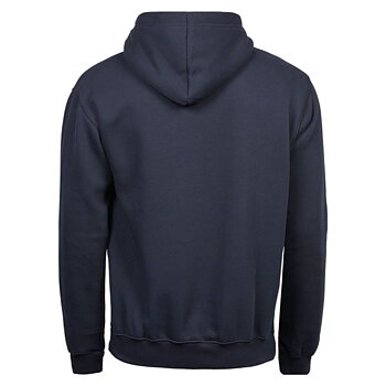 Hooded sweatshirt . Tee Jays 5430.