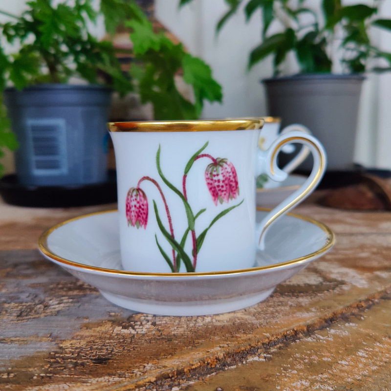 Kaffekopp Svenska Landskapsblommor Kungsängslilja Uppland