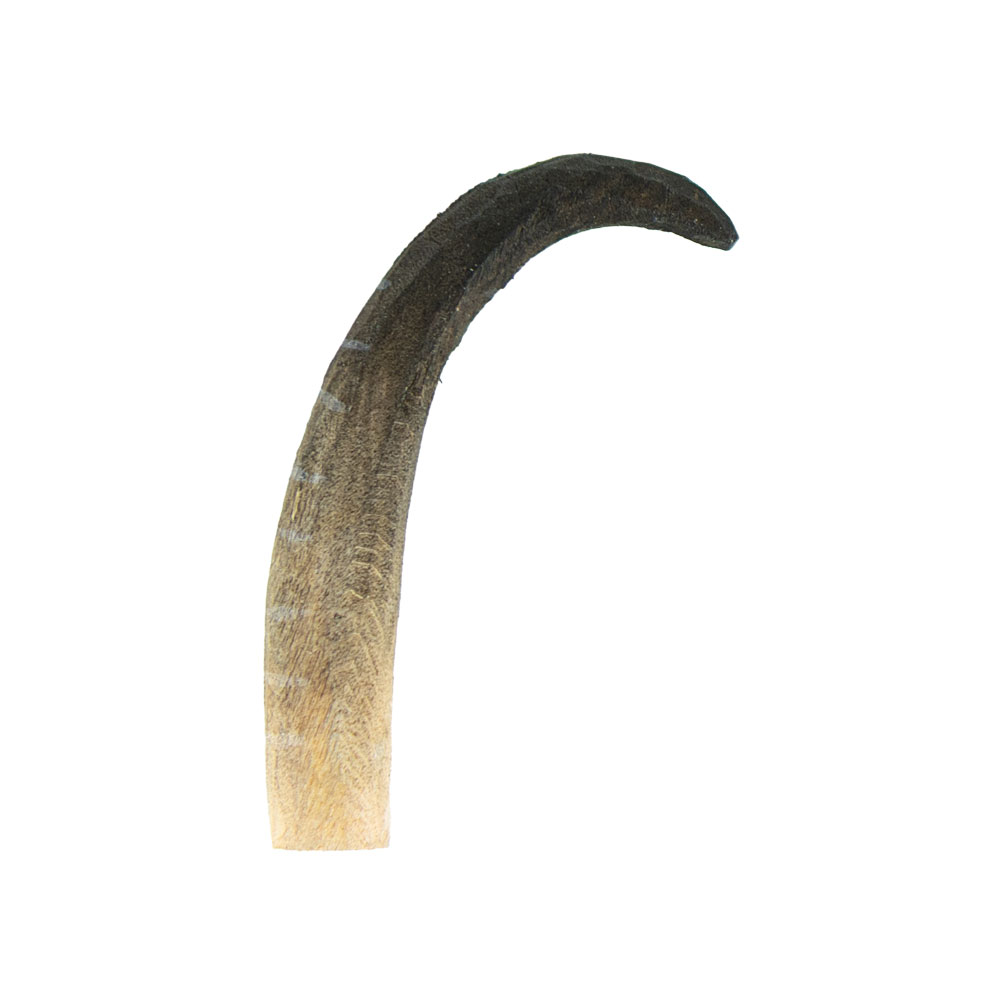 Chamois Horn - Left
