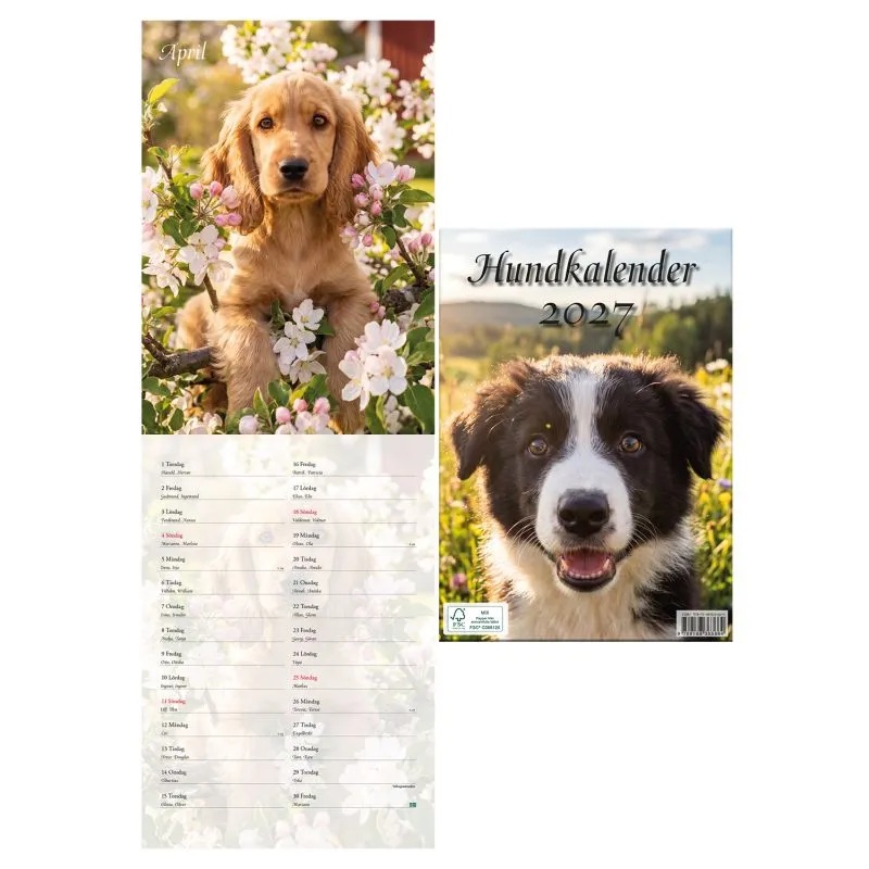 Hundkalender 2027