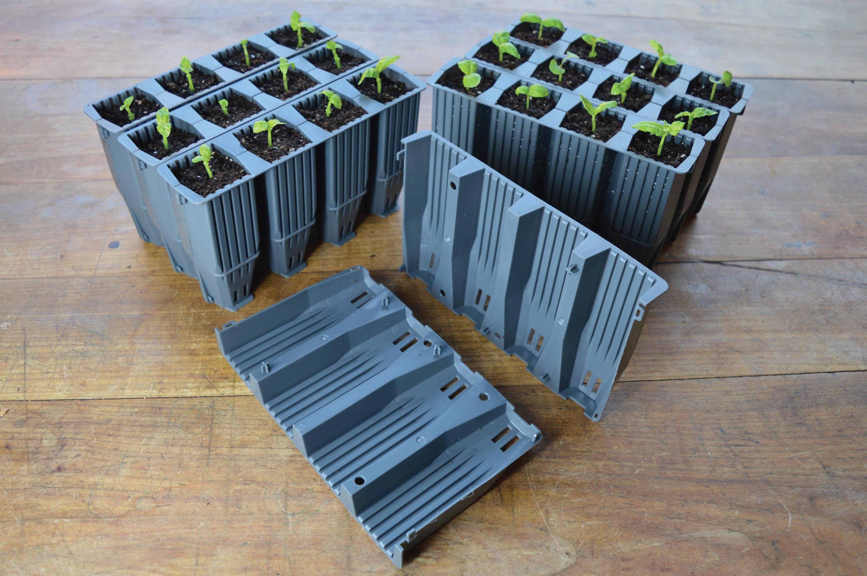Pluggbrätte - Deep Root Plant - 28 celler - 3