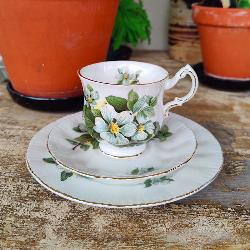 Kaffekopp Dogwood från Paragon