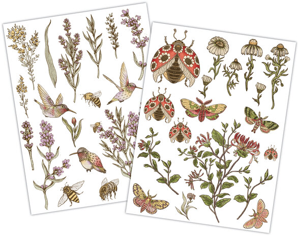 Vintage Summer Premium Rub-on Transfers Set, 15.24 x 20.32cm,  Craft Consortium - 3