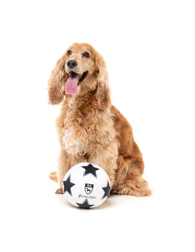 FuzzYard Hundleksak Sports Soccer Ball 15x15x15cm Vit/Svart - 8