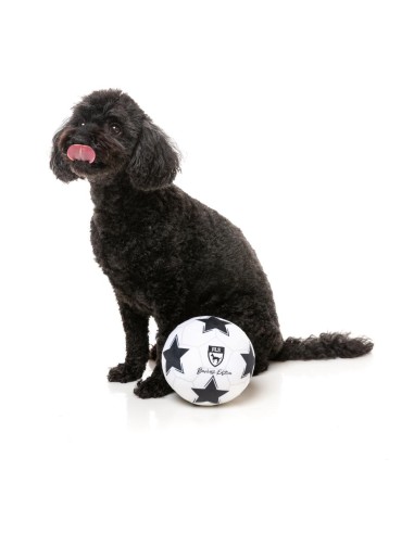 FuzzYard Hundleksak Sports Soccer Ball 15x15x15cm Vit/Svart - 10