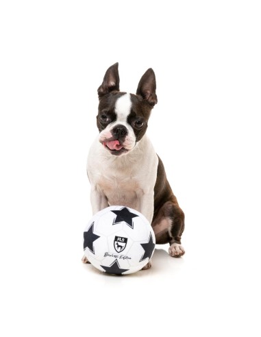 FuzzYard Hundleksak Sports Soccer Ball 15x15x15cm Vit/Svart - 11