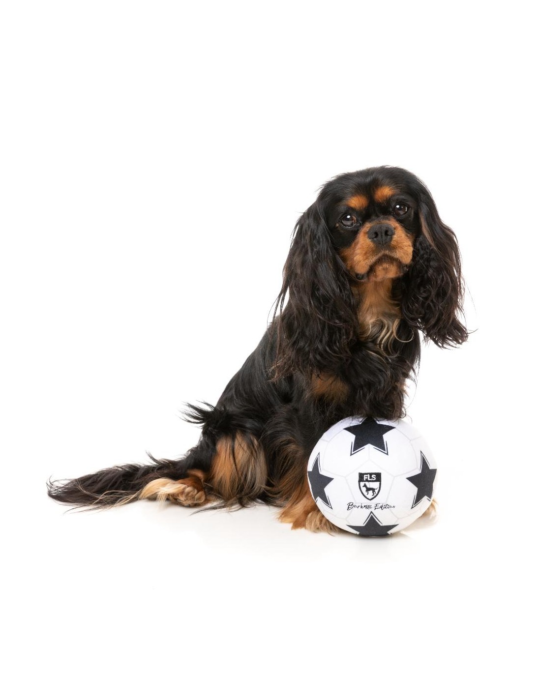 FuzzYard Hundleksak Sports Soccer Ball 15x15x15cm Vit/Svart - 5