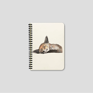 Anteckningsbok Felix-spiralbindning A6
