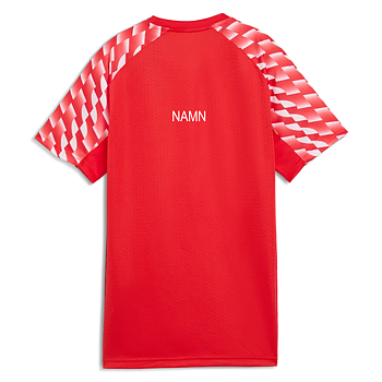 Puma Teamliga26 Jersey (TIBK)