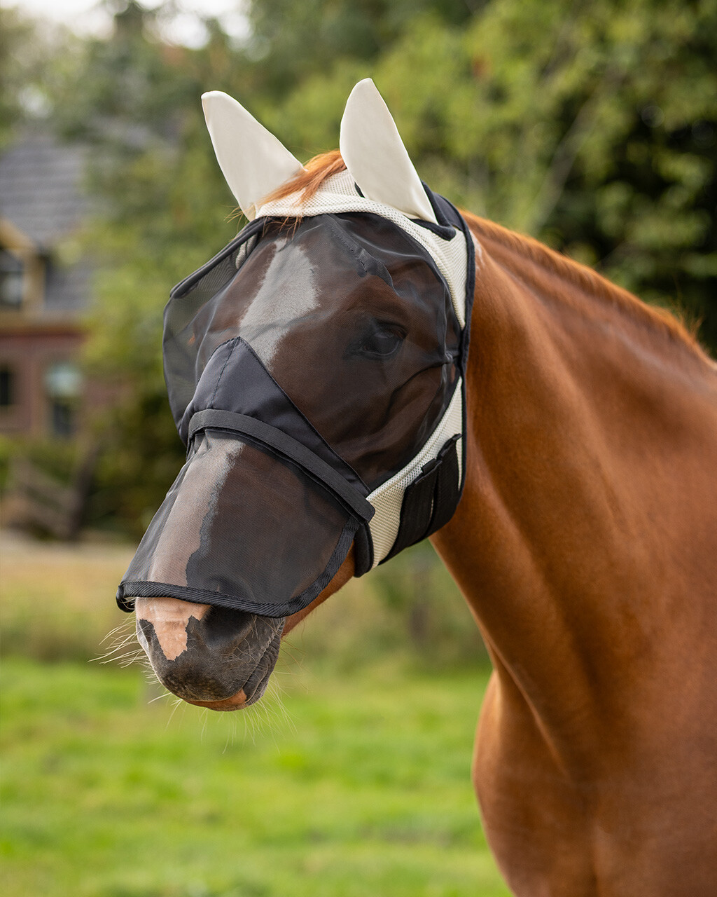 Fly mask QHP with removable nose guard, beige - 5
