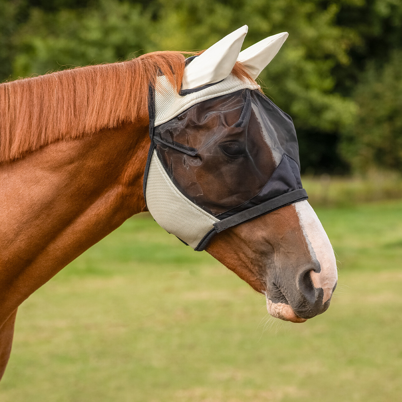 Fly mask QHP with removable nose guard, beige - 2