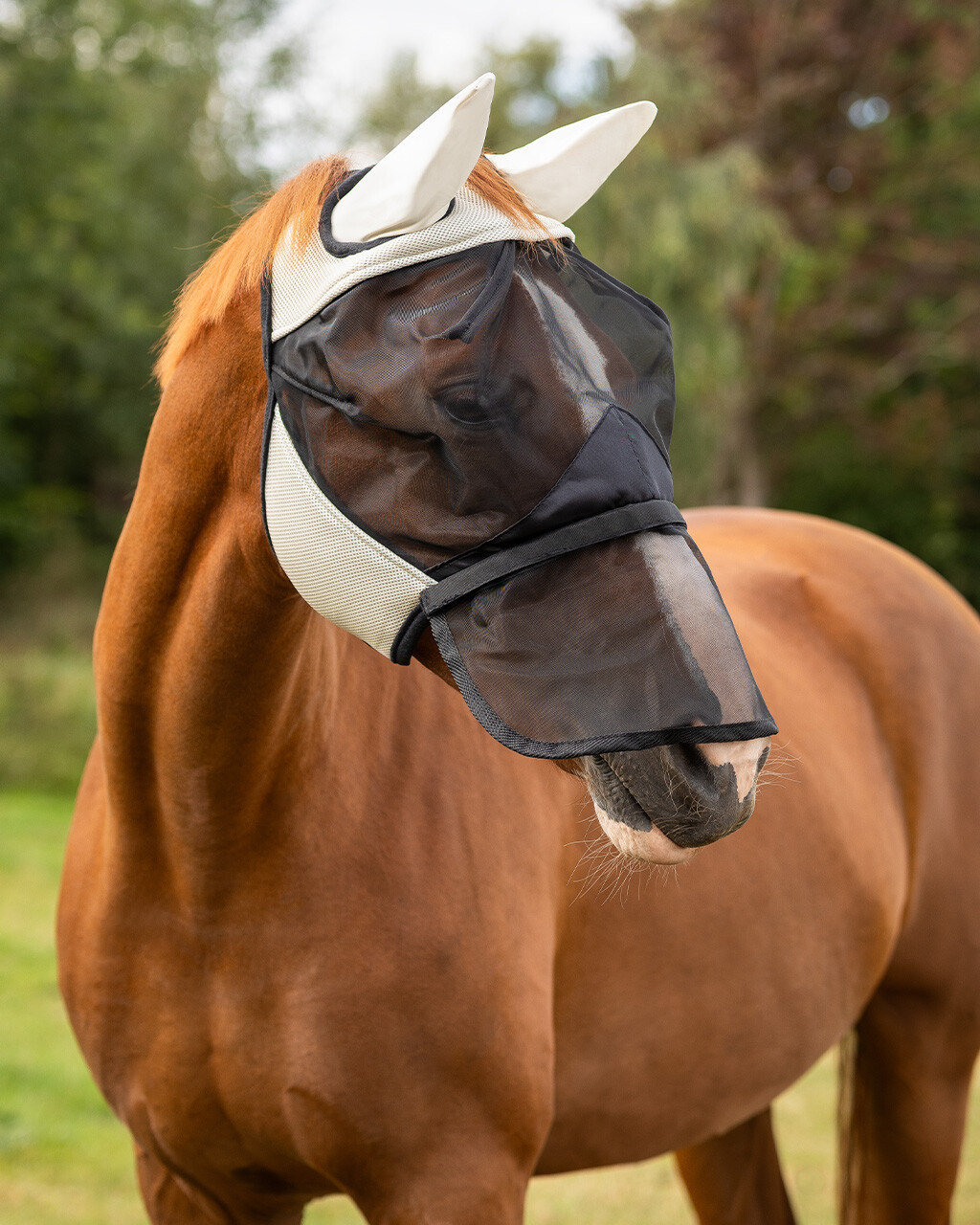 Fly mask QHP with removable nose guard, beige - 6