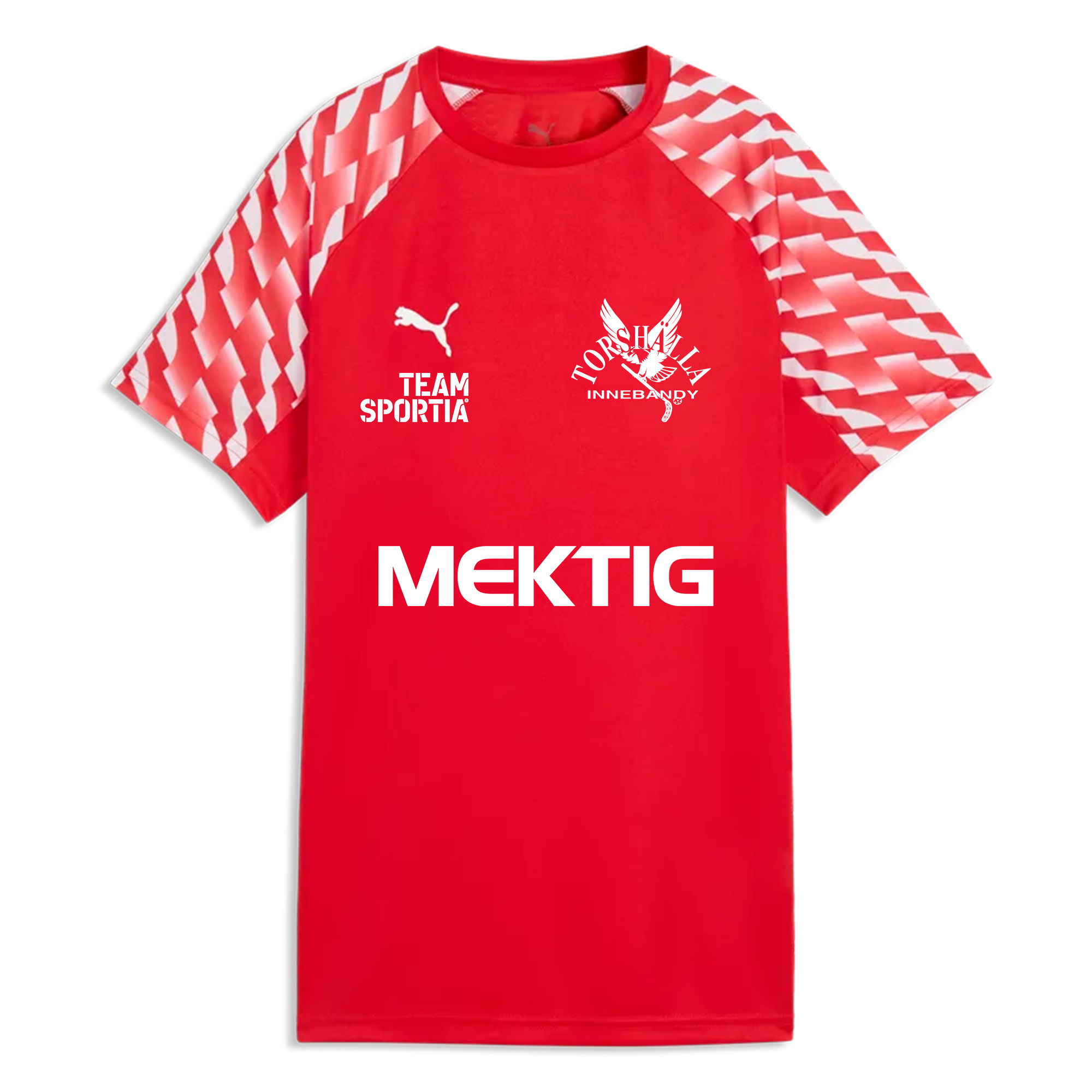 Puma Teamliga26 Jersey Jr (TIBK)