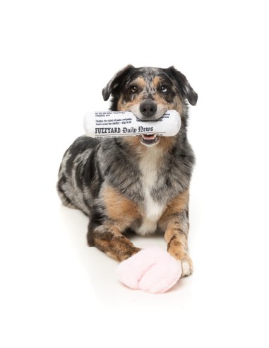 FuzzYard Hundleksak Perfect Match Fetch My Slippers & Paper 2-Pack Flerfärgad - 2