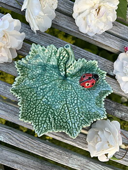 Blad med nyckelpiga