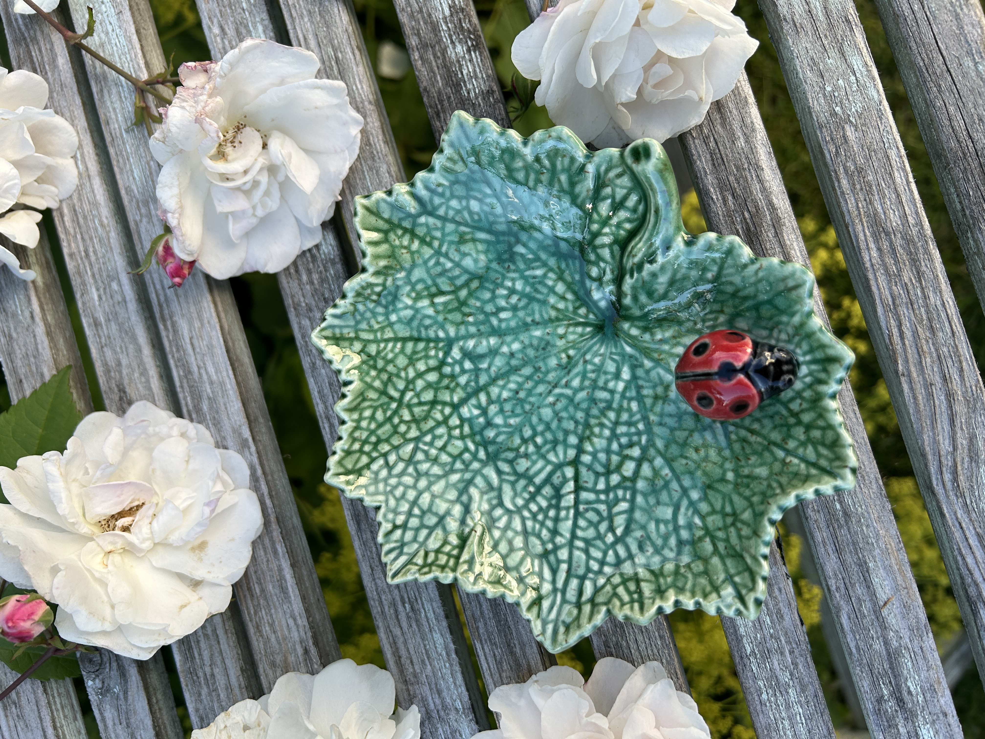 Blad med nyckelpiga - 2