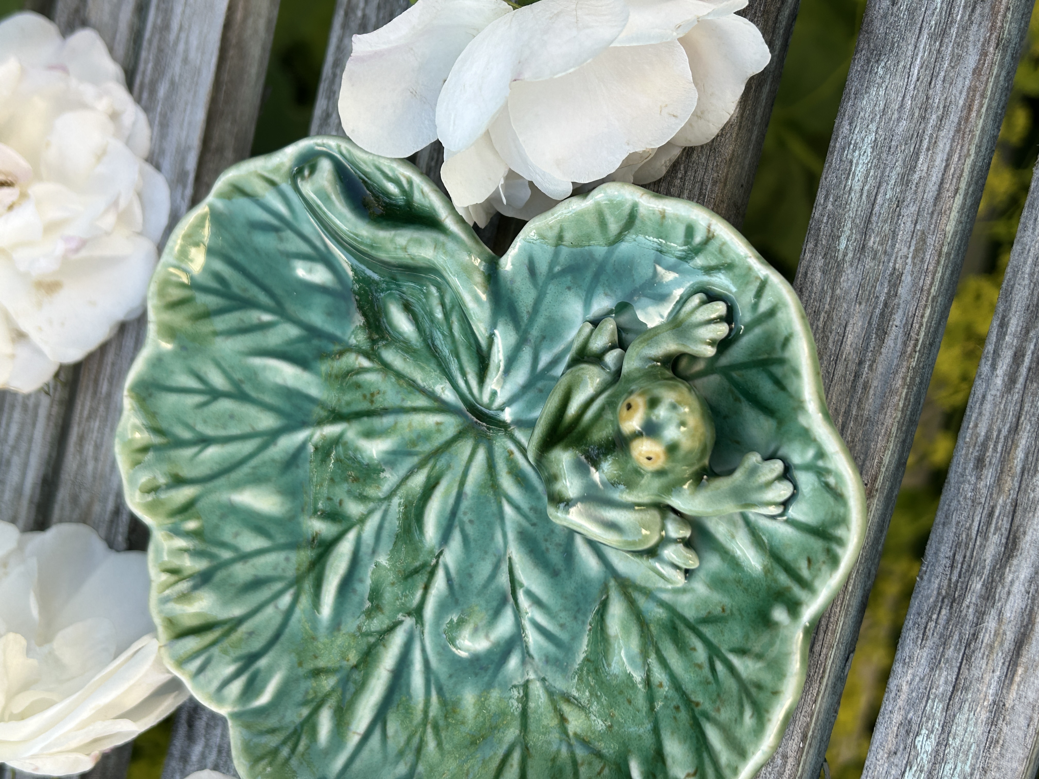 Blad med groda - 4