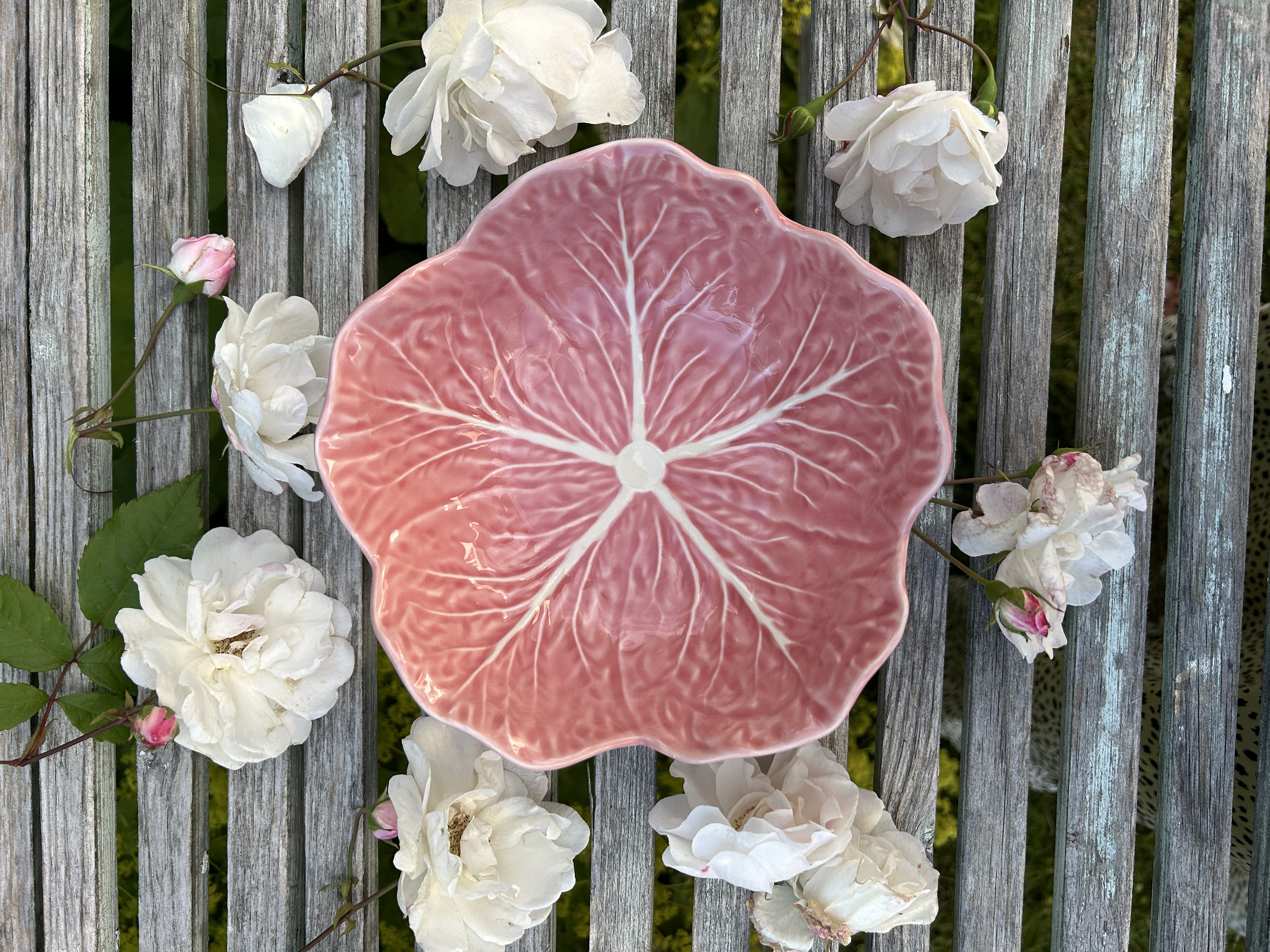 Skål rosa
