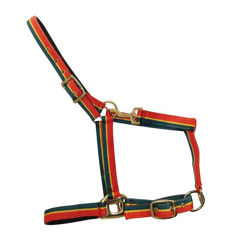 Marjoman Halter Português