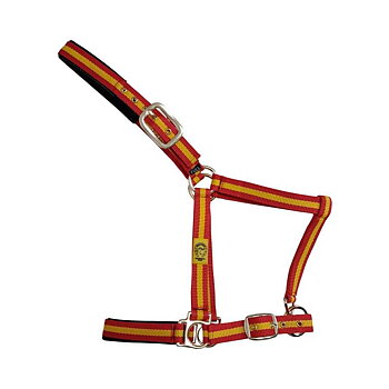 Marjoman grimma Elastotex España