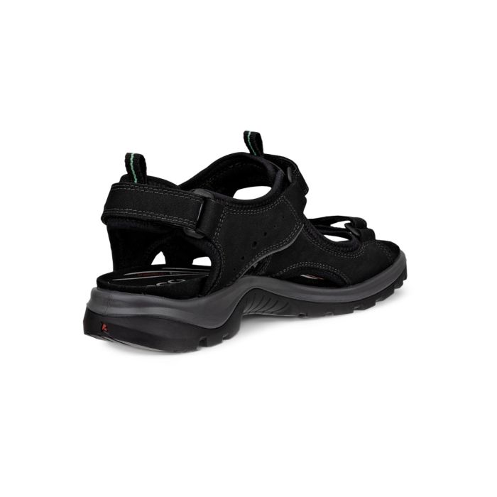 Ecco Andes II W - 3