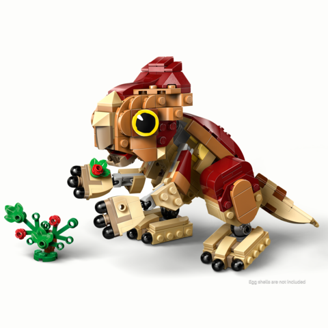 LEGO 76970 Baby Dinosaur Dolores: Aquilops Jurassic World - 4
