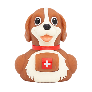 Badanka, Sankt bernhardshund