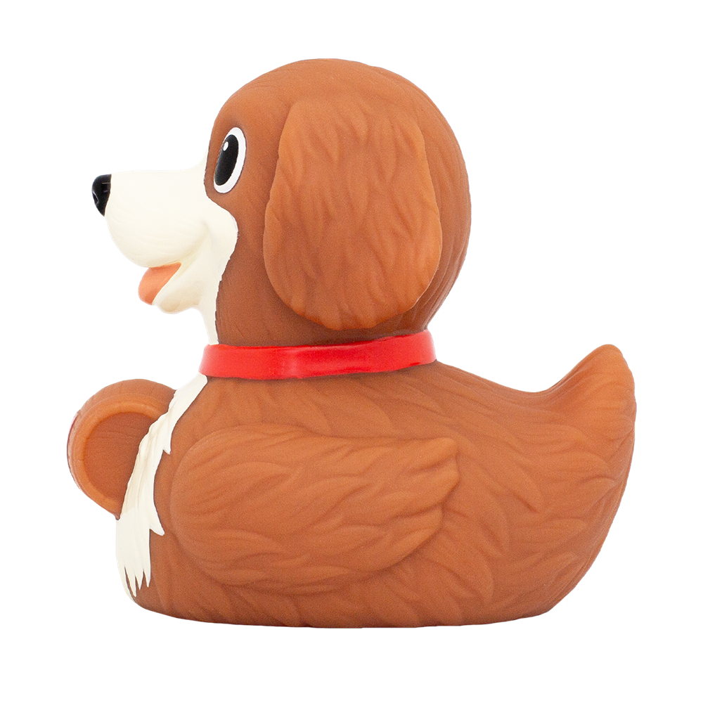 Badanka, Sankt bernhardshund - 2