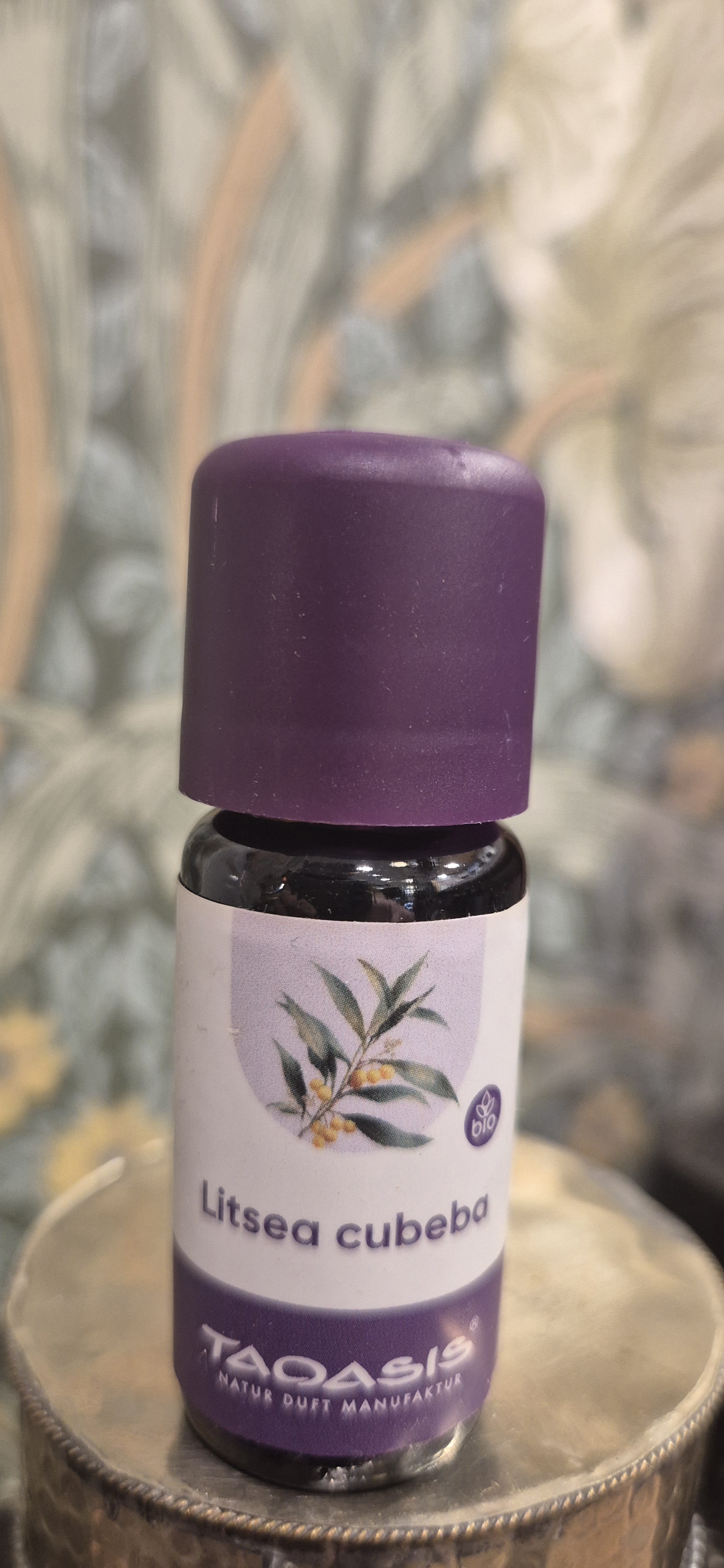 Litsea Cubea eko eterisk olja 10ml, Toasis