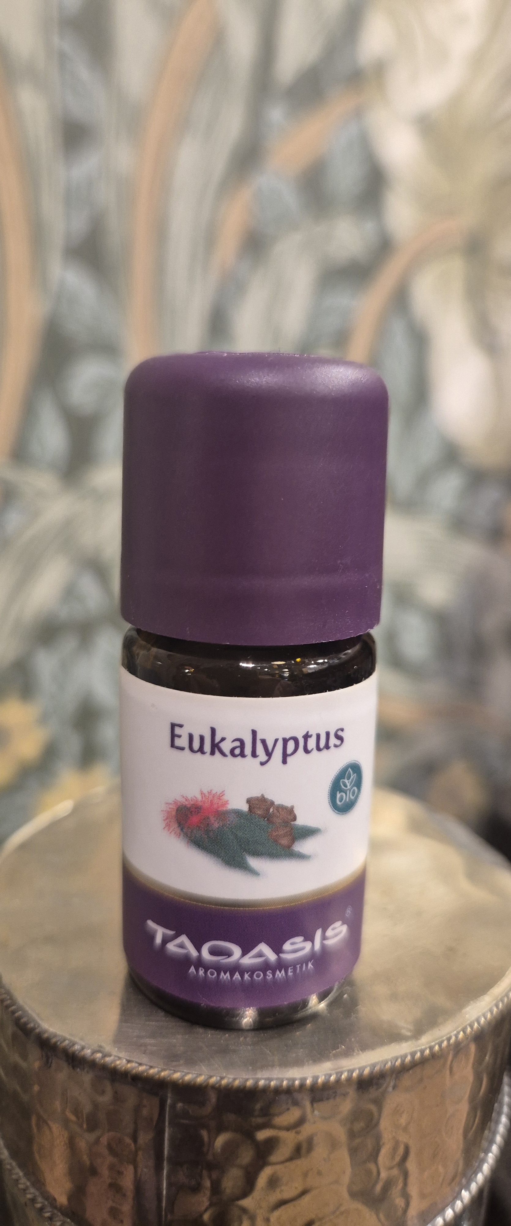 Eucalyptus Globolus eterisk olja eko 5ml, Toasis