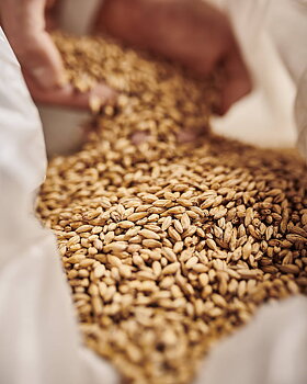 Barke® münchnermalt (Weyermann®), hel, 25 kg