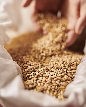 Barke® wienermalt (Weyermann®), hel, 1 kg