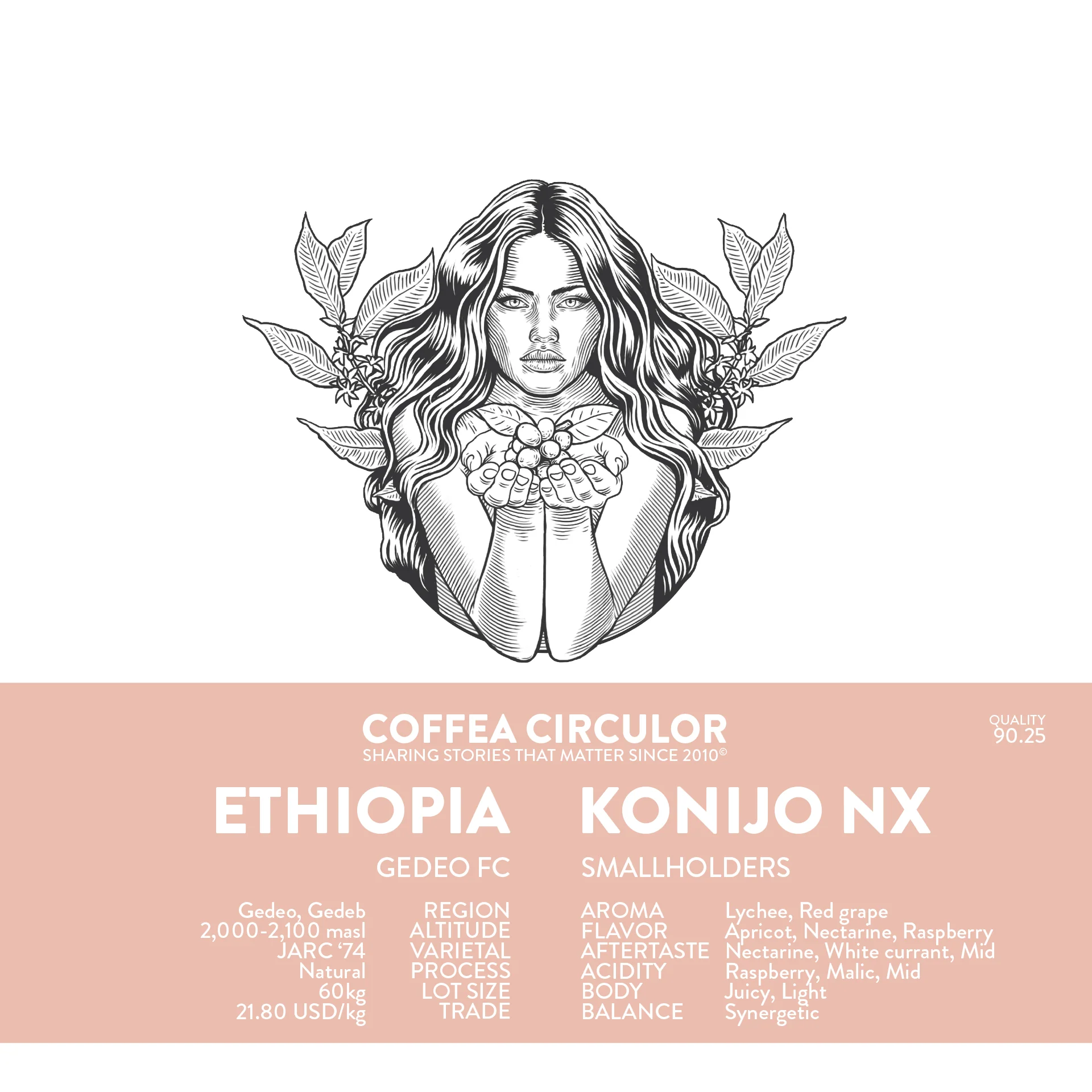 Coffea Circulor - Konijo NX - Natural - Etiopien - Ljusrostade kaffebönor - 250g