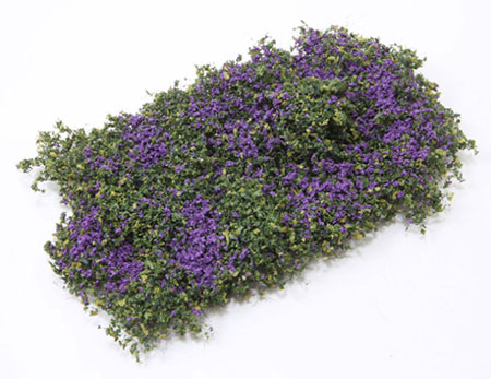 Blooming purple phlox