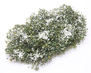 Blomande flox vit