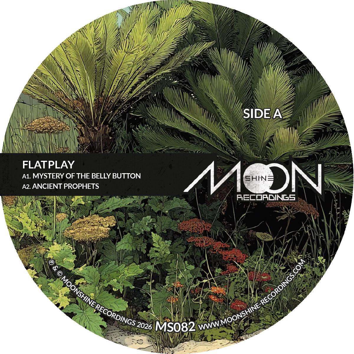 Flatplay - Mystery Of The Belly Button EP