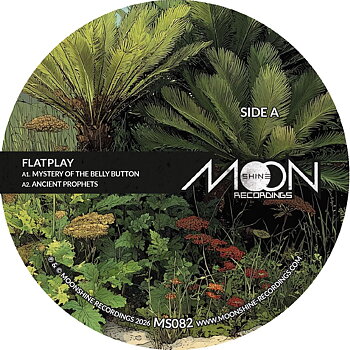 Flatplay - Mystery Of The Belly Button EP