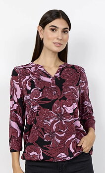 SC-FELICITY AOP 548