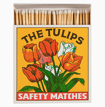 Tändstickor Archivist – TULPANER 11x11cm, 125 stickor